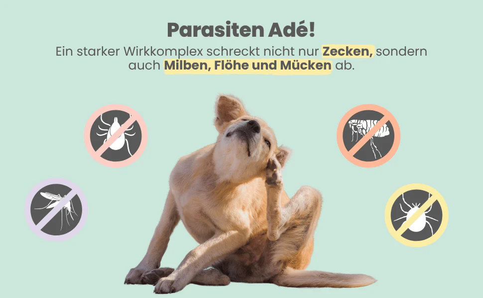 noms+ – Zpot-on für Hunde gegen Zecken, Flöhe, Milben & Mücken