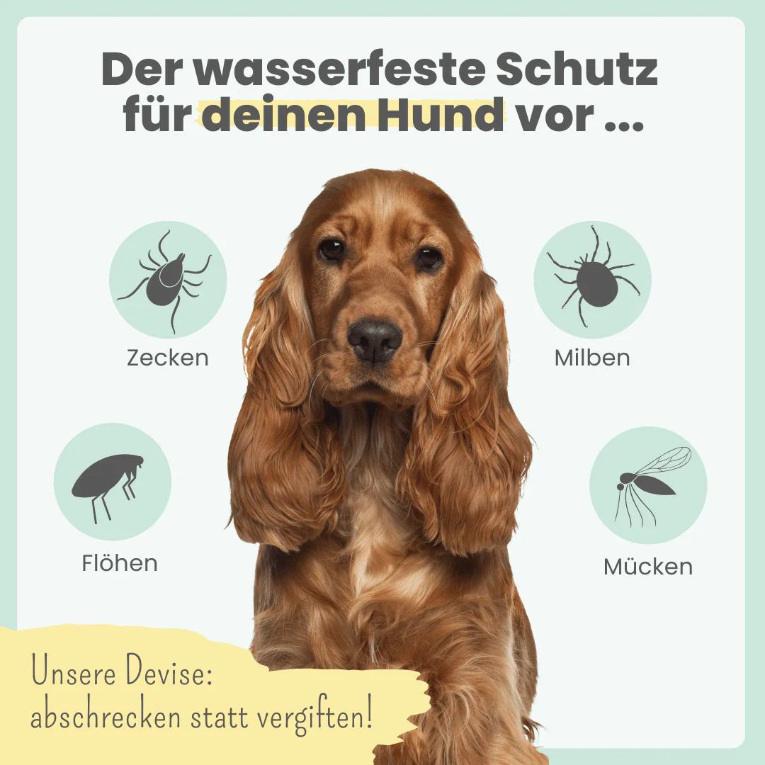 noms+ – Zpot-on für Hunde gegen Zecken, Flöhe, Milben & Mücken