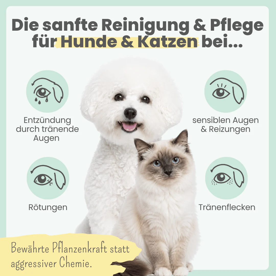 noms+ – 2-in-1 Augenfein Reinigung & Pflege für Hunde & Katzen