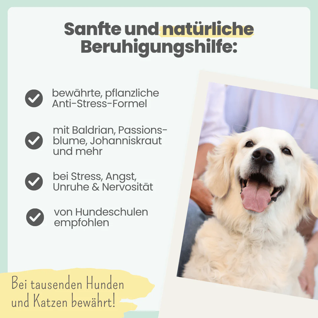 noms+ – Wohlfühlmix für Hunde & Katzen