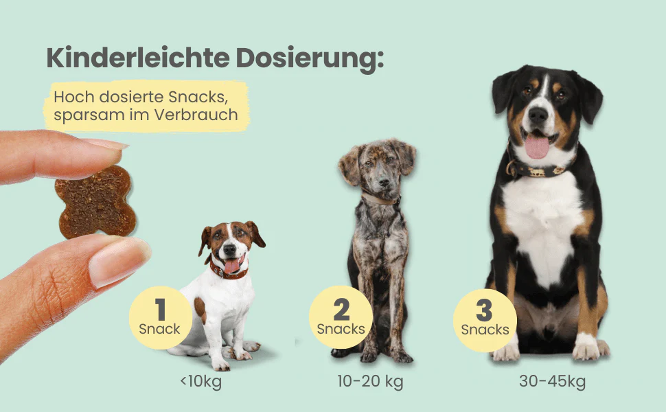 noms+ – Probio Belly Snacks für Hunde