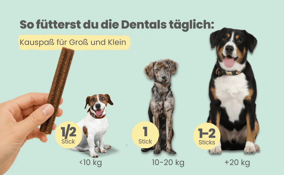 noms+ – Kräuter Dentals für Hunde