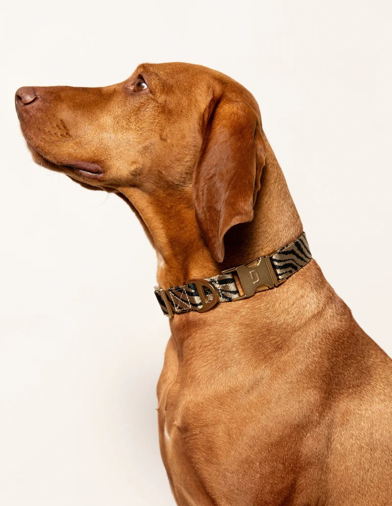 DOGGUO – Hundehalsband Zebra - Beige/Black