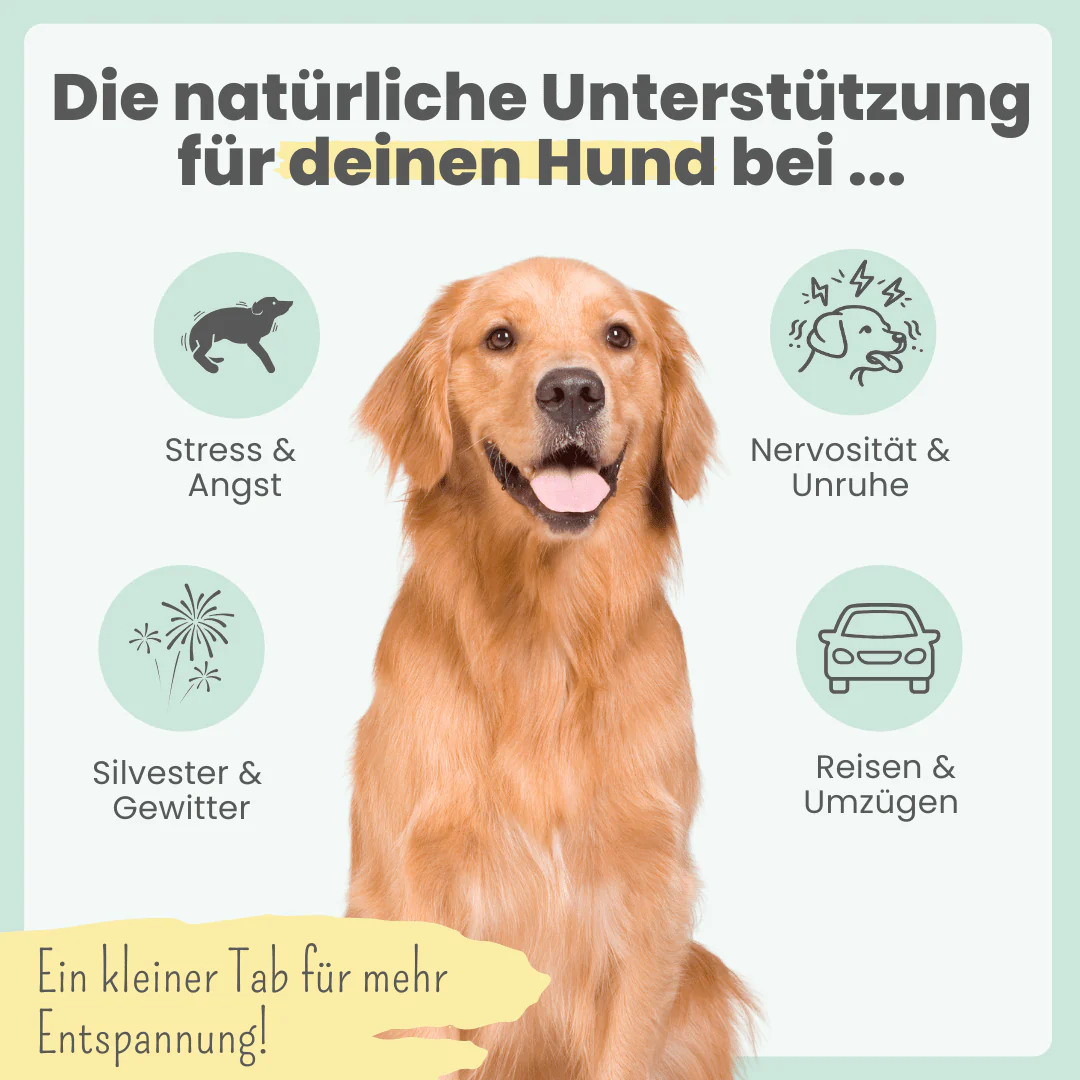 noms+ – Wohlfühltabs für Hunde bei Stress, Angst & Unruhe