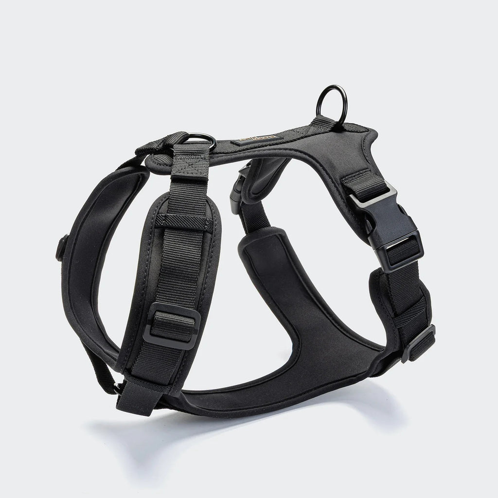 CLOUD7 - Y-3 Geschirr AKTIV Softshell