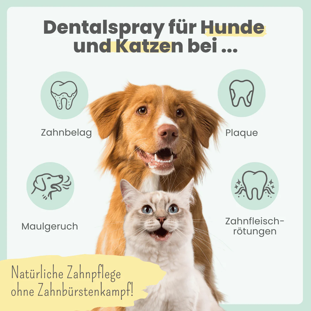 noms+ – Dental-Spray bei Zahnstein für Hunde & Katzen