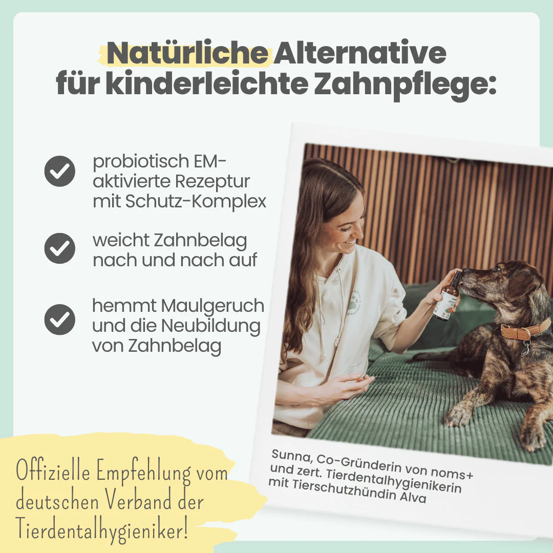 noms+ – Dental-Spray bei Zahnstein für Hunde & Katzen