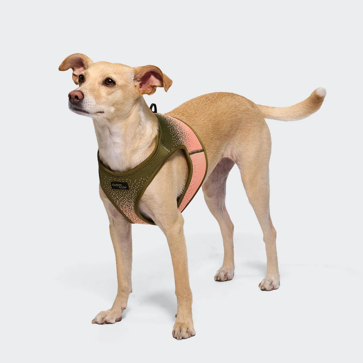 CLOUD7 - V-3 Harness Westengeschirr AKTIV Knit Khaki/Peach