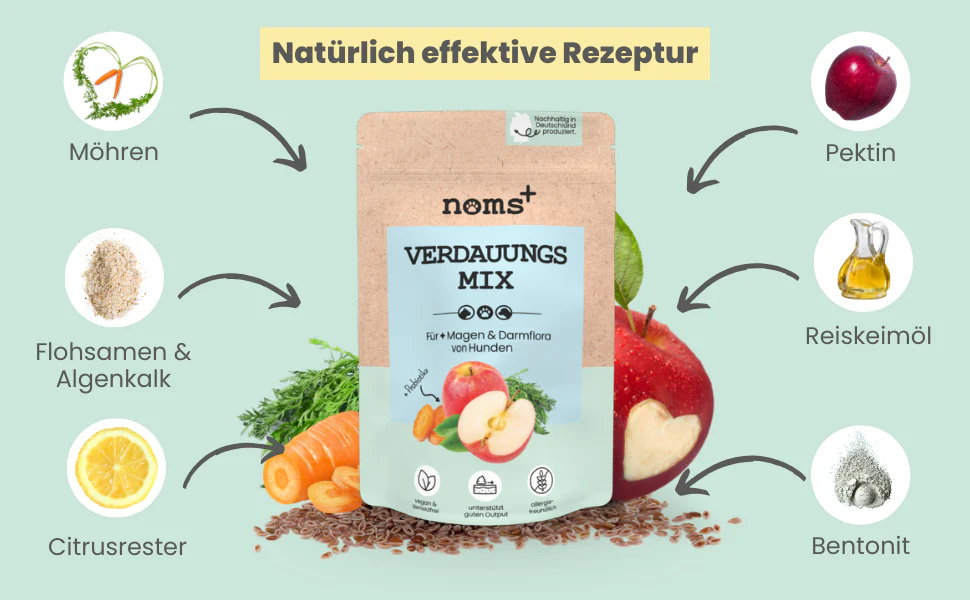 noms+ – Verdauungsmix für Hunde als Probiotikum für Magen- & Darmflora