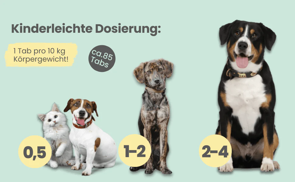 noms+ – Wohlfühltabs für Hunde bei Stress, Angst & Unruhe