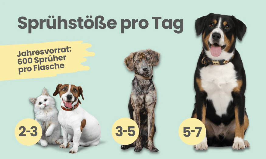 noms+ – Dental-Spray bei Zahnstein für Hunde & Katzen
