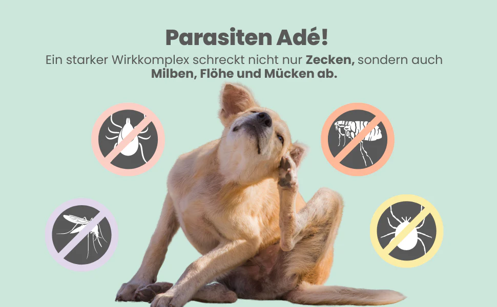 noms+ – Zpray für Hunde gegen Zecken, Flöhe, Milben & Mücken