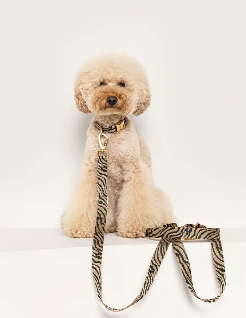 DOGGUO – Hundeleine Zebra - Beige/Black