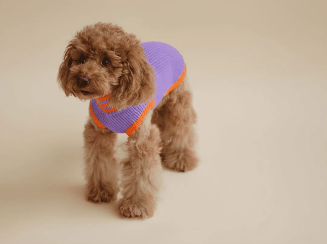 lumiies® – THE GLOW JUMPER 2.0 - Neon Hundepullover Poppy Lavender