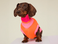 lumiies® – THE GLOW JUMPER 2.0 - Neon Hundepullover Sunny Tangerine