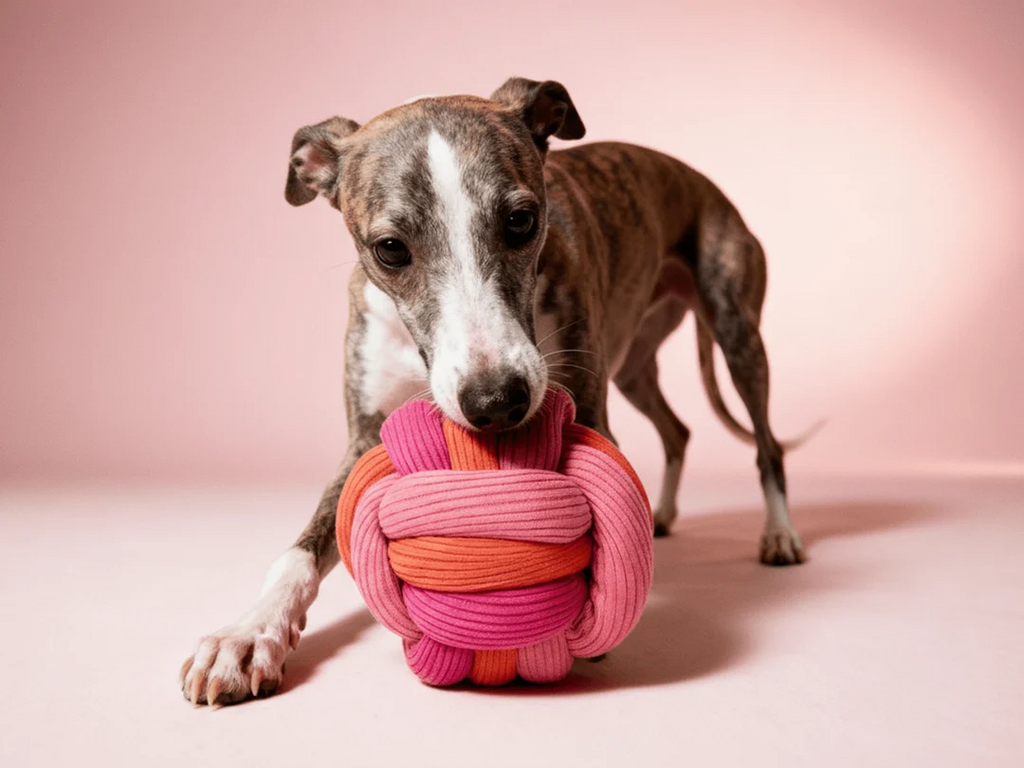 lumiies® – The Twisty Ball: Interaktiver Schnüffelball für Hunde