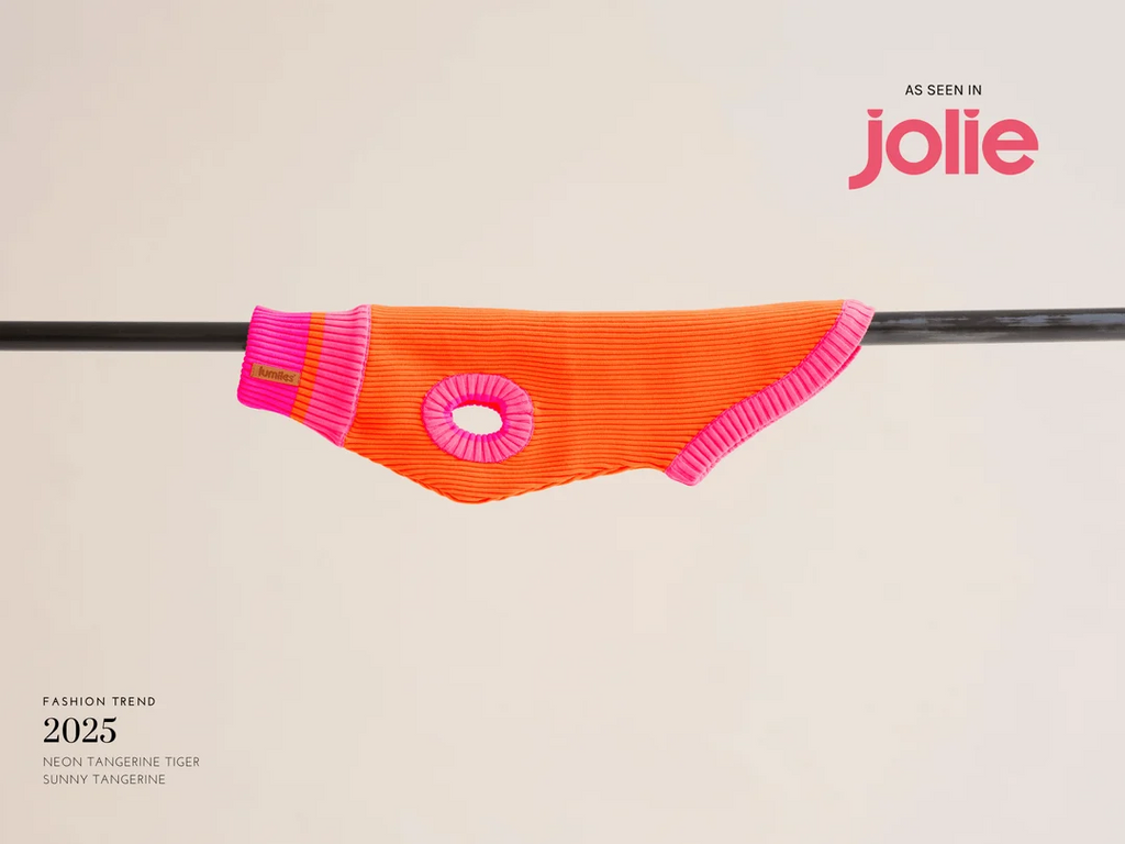 lumiies® – THE GLOW JUMPER 2.0 - Neon Hundepullover Sunny Tangerine