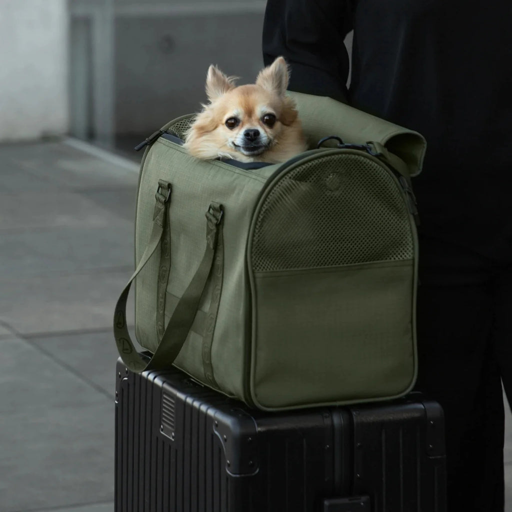 CLOUD7 – Hundeflugtasche AKTIV Olive
