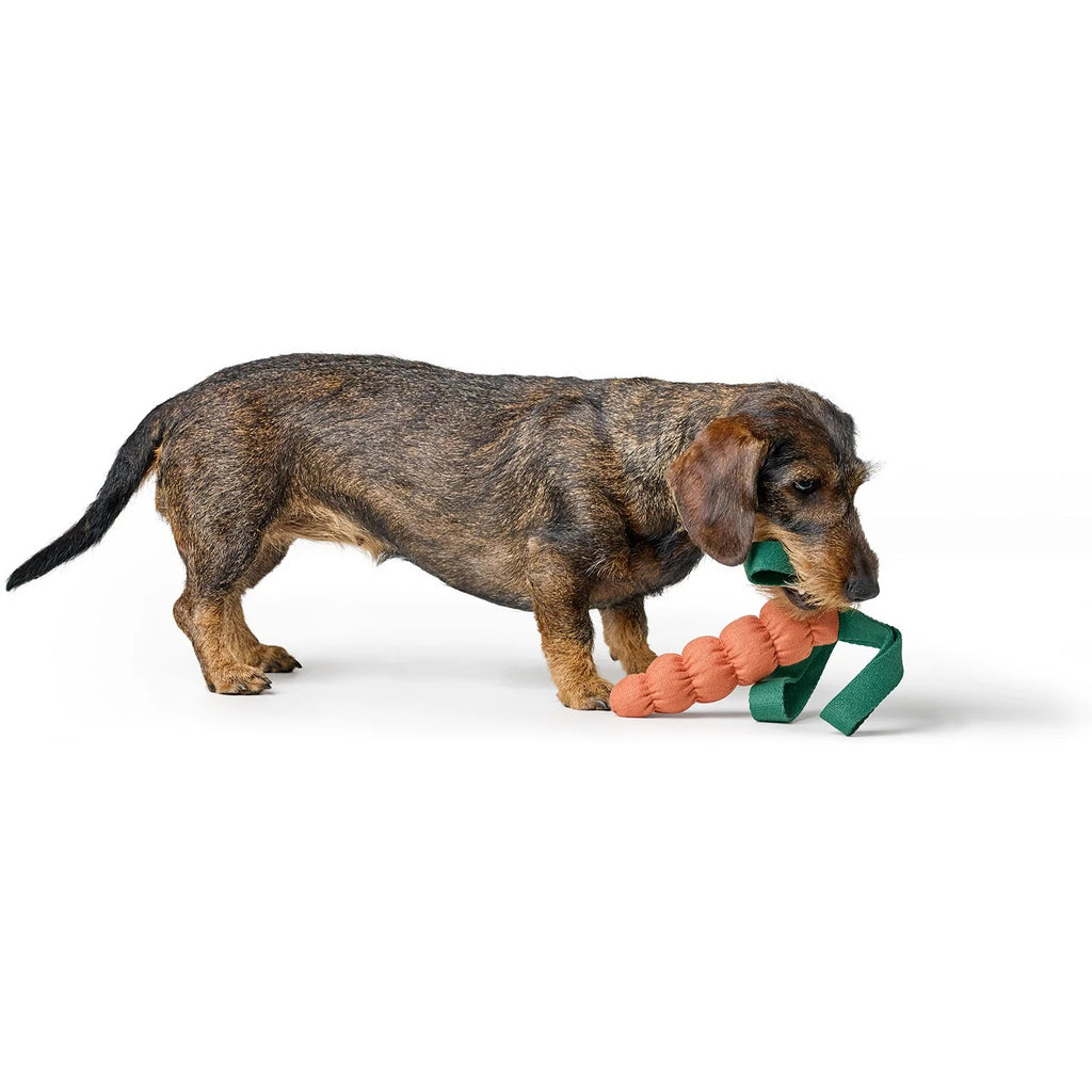 Hunter – Hundespielzeug Venice Birne