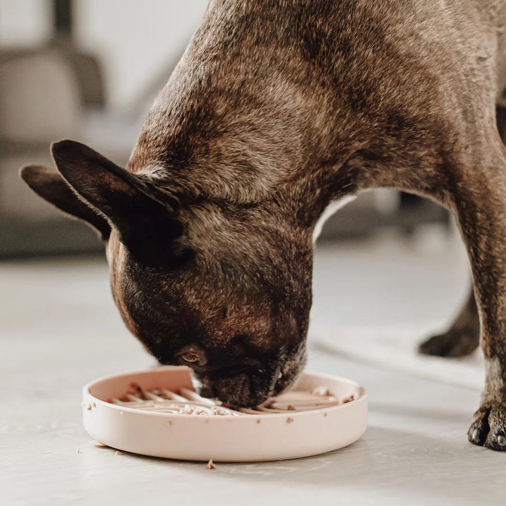LOVIN'DOG – 2er-Set Slow Feeder Bowl & Lick Mat Nude