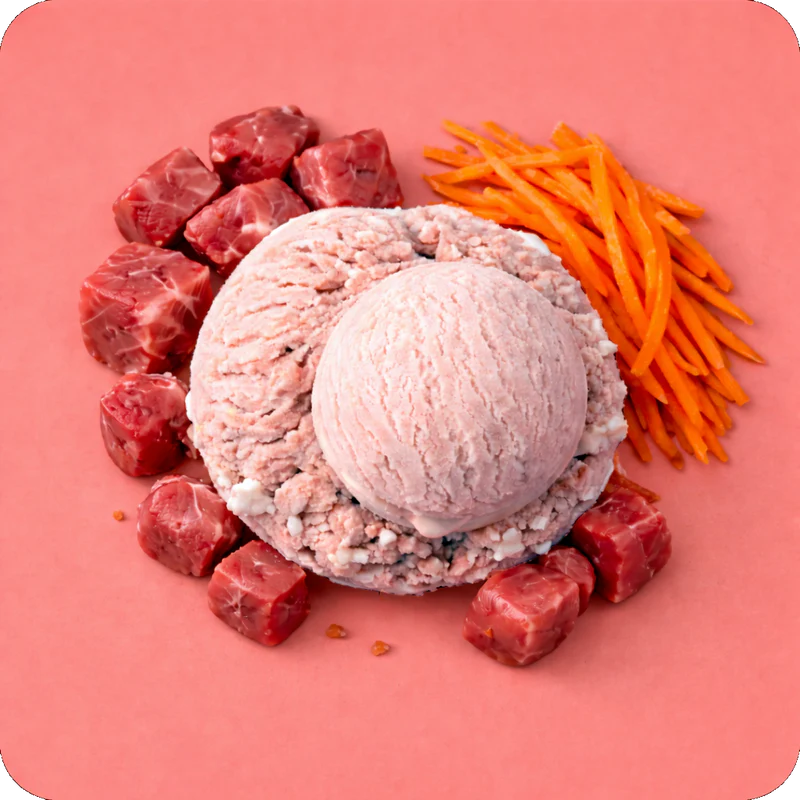 Cold&Dog – Hundeeis Rind 90ml