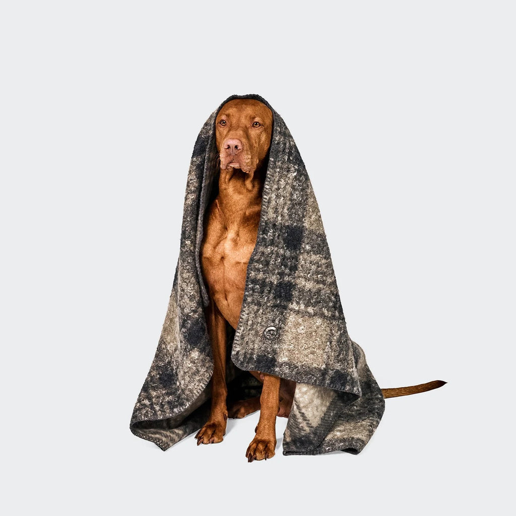 CLOUD7 - Hundedecke Bouclé Tartan